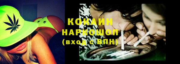 индика Беломорск