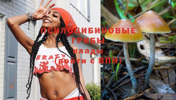 хмурый Богородск
