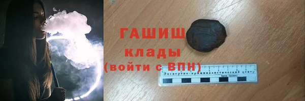 индика Беломорск