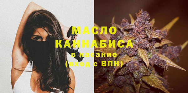 индика Беломорск