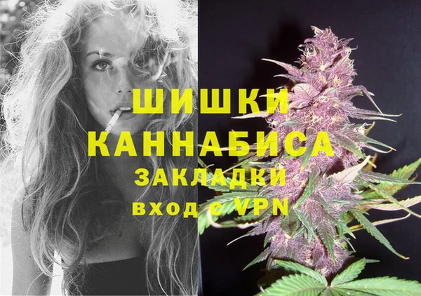 индика Беломорск