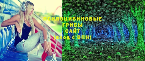 первитин Белокуриха
