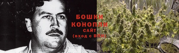 первитин Белокуриха