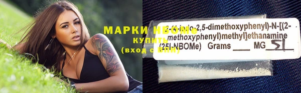 индика Беломорск