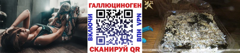Псилоцибиновые грибы Psilocybe  Дигора 